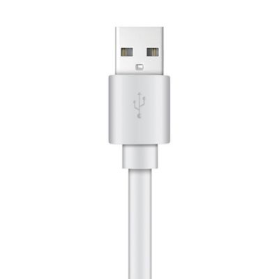 Image showing  Charge and Sync USB to Lightning Flat Cable, 4 ft. (White)