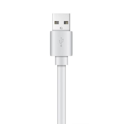 Image showing  Charge and Sync USB to Micro USB Flat Cable, 4 ft. (White)