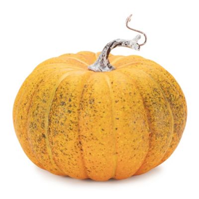 Image showing  Foam Pumpkin Decor (Set of 2)