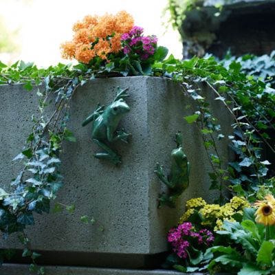 Image showing  Stone Garden Frog Wall Accent (Set of 2)