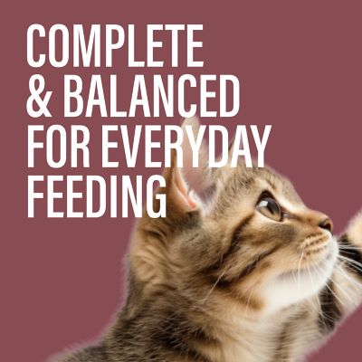 Image showing  All Life Stages High Protein Chicken&Tuna, Turkey&Tuna, Salmon&Tuna Pate Wet Food for Cats, 3 oz., Pack of 24 cans