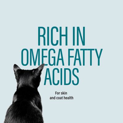 Image showing  All Life Stages High Protein Chicken&Tuna, Turkey&Tuna, Salmon&Tuna Pate Wet Food for Cats, 3 oz., Pack of 24 cans