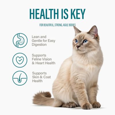 Image showing  All Life Stages High Protein Chicken&Tuna, Turkey&Tuna, Salmon&Tuna Pate Wet Food for Cats, 3 oz., Pack of 12 cans
