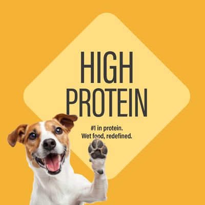 Image showing  Adult High Protein Beef&Chicken, Beef&Vegetables, Chicken&Salmon, Chicken&Rice Pate Wet Dog Food, 14 oz., 12 pk