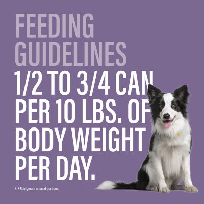 Image showing  Adult High Protein Beef&Chicken, Beef&Vegetables, Chicken&Salmon, Chicken&Rice Pate Wet Dog Food, 14 oz., 12 pk