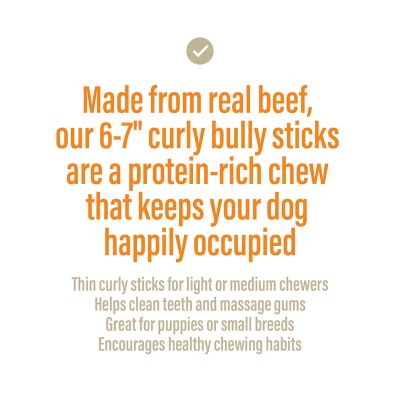 Image showing  Bully Spring Light Sticks