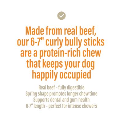 Image showing  Bully Spring Sticks