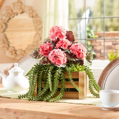 Image showing  Geranium Floral Bush Set of 2