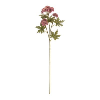 Image showing  Sedum Succulent Spray (Set of 6)