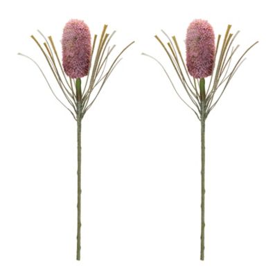 Image showing  Protea Floral Stem (Set of 2)