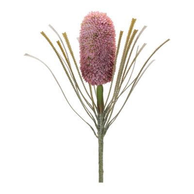 Image showing  Protea Floral Stem (Set of 2)