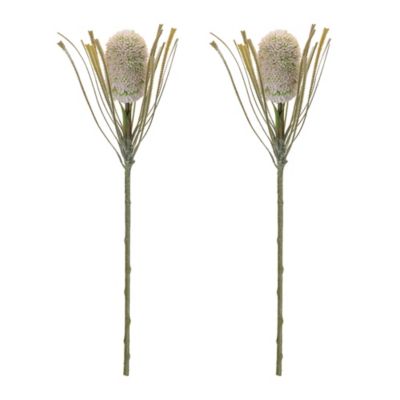Image showing  Protea Floral Stem Set of 2