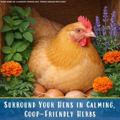 Image showing  Nest Box Herbs, 6 oz.