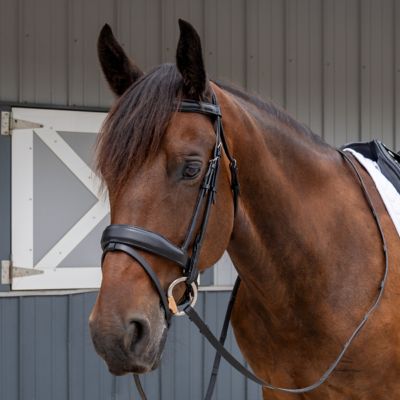 Image showing  Cadence Dressage Bridle