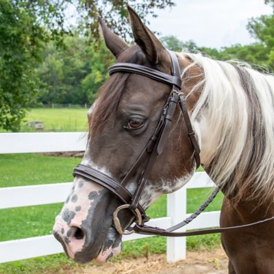 Image showing  Cadence Hunter Bridle