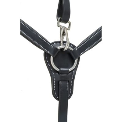 Image showing  Five Point Breastplate