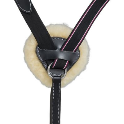 Image showing  Five Point Breastplate