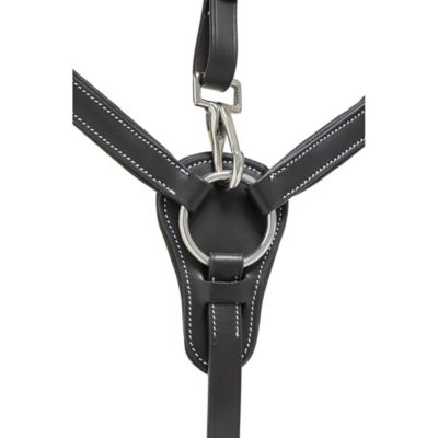 Image showing  Five Point Breastplate