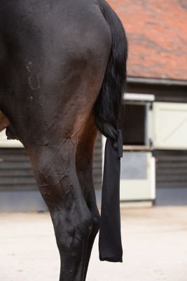 WeatherBeeta Lycra Tail Bag
