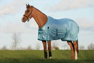 Saxon Mesh With Gusset Belly Wrap Standard Neck