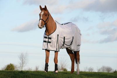 Image showing 0 th Saxon Mesh With Gusset Belly Wrap Standard Neck