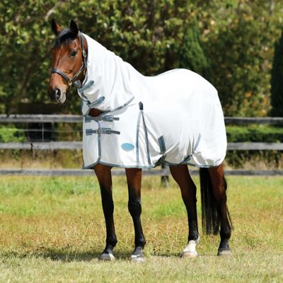 White/Grey/Bright Blue