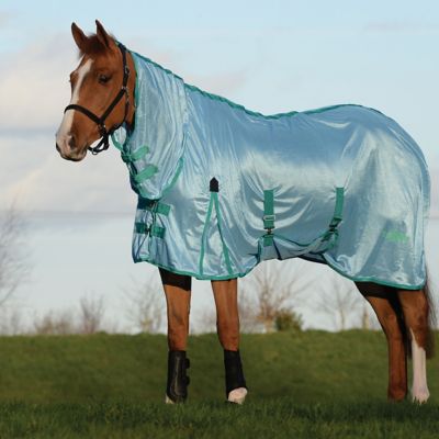 Image showing  Mesh with Gusset Belly Wrap Combo Neck