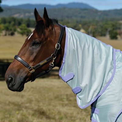 Image showing 1 th Saxon Mesh with Gusset Belly Wrap Combo Neck