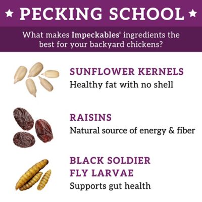 Image showing  Grub and Grain Power Mix Chicken Treats, 5 lb.