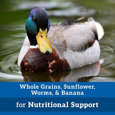 Image showing  Duck Delight Duck Treats, 5 lb.