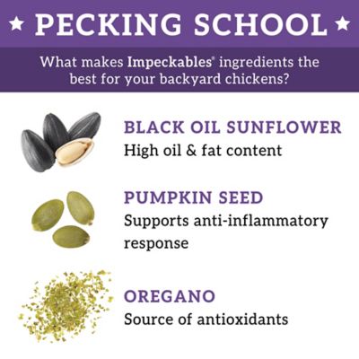 Image showing  Immunity Support Blend Chicken Treats, 5 lb. Bag