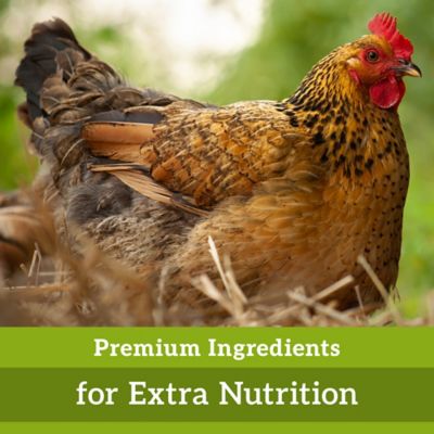 Image showing  Free Range Treat Bucket, 18 lb.