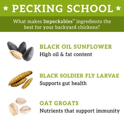 Image showing 5 th ImPECKables Free Range Chicken Treat Bucket, 18 lb.