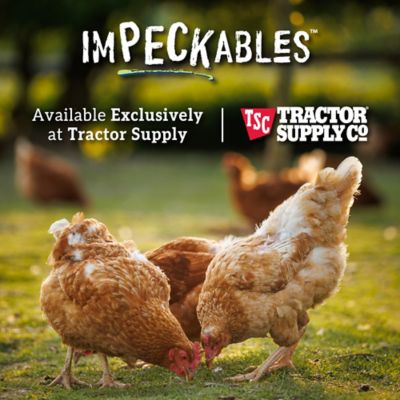 Image showing 8 th ImPECKables Free Range Chicken Treat Bucket, 18 lb.
