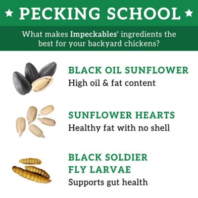 Image showing  SunBug Crunch Chicken Treats, 5 lb. Bag