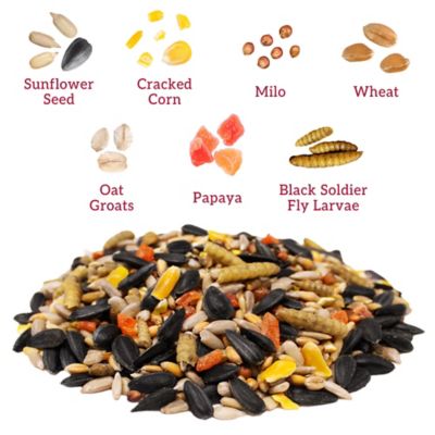 Image showing  Papaya Picnic Chicken Treats, 5 lb.