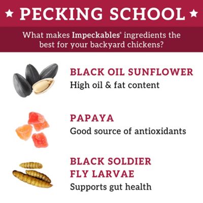 Image showing  Papaya Picnic Chicken Treats, 5 lb.