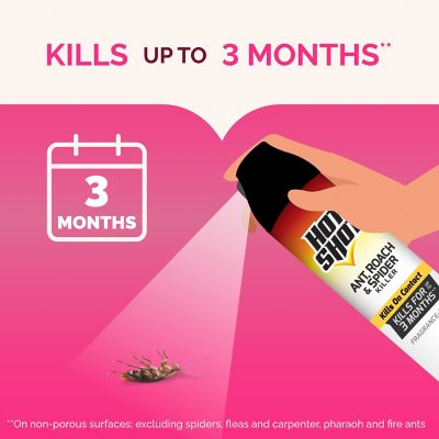 Image showing  Ant, Roach And Spider Killer 2-17.5 Ounce Aerosol Cans, Unscented, Twin Pack