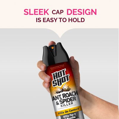 Image showing 5 th Hot Shot Ant, Roach And Spider Killer 2-17.5 Ounce Aerosol Cans, Unscented, Twin Pack