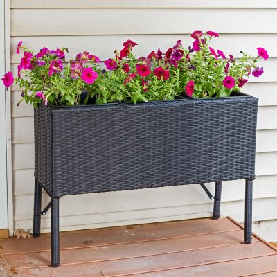 Image showing  3-Section Wicker Raised Planter - Black