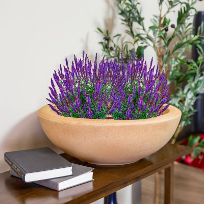 Image showing 1 th Sunnydaze Decor 20.75 in Percival Round Polyresin Outdoor Planter - Sand