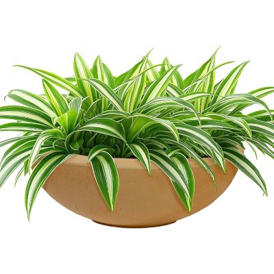 Image showing 9 th Sunnydaze Decor 20.75 in Percival Round Polyresin Outdoor Planter - Sand