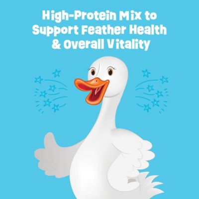 Image showing  Buggy Nights, 2 lb.