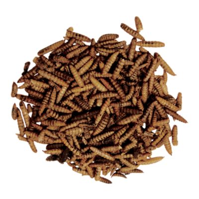 Image showing  Clucktail Hour, 2 lb.