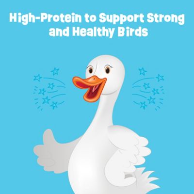 Image showing  Clucktail Hour, 2 lb.