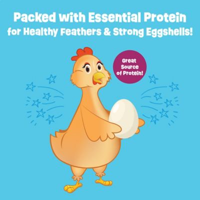 Image showing  Garden Grub with Beetles 2 lb.