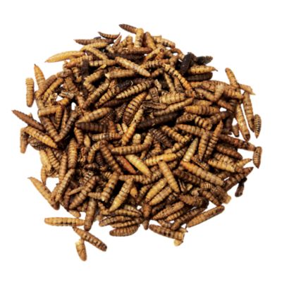 Image showing  Super-Flies 2 lb.