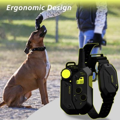 Image showing 5 th PATPET 3000 ft. IPX7 Black green Dog Training Collar