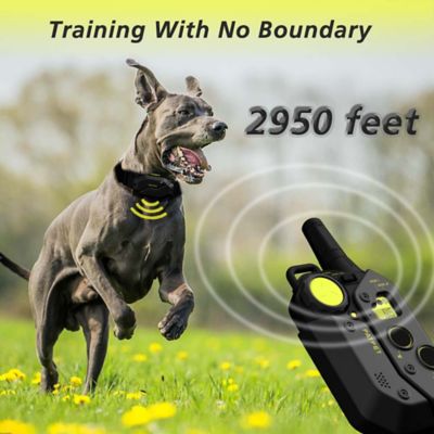 Image showing 6 th PATPET 3000 ft. IPX7 Black green Dog Training Collar
