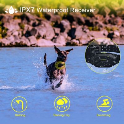 Image showing 7 th PATPET 3000 ft. IPX7 Black green Dog Training Collar